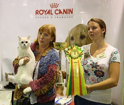 �������� ����� '���-�����-��������' 20-21 �������� 8-154-169A2490 copy.jpg